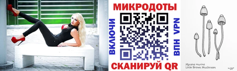 Галлюциногенные грибы мухоморы  купить наркотики сайты  Тогучин 